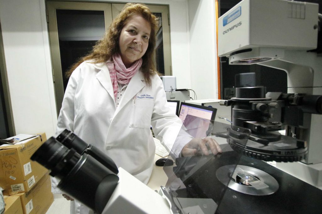Investigacion Covid-19