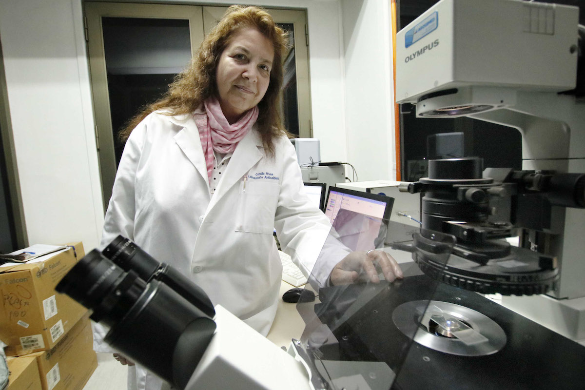 Investigacion Covid-19