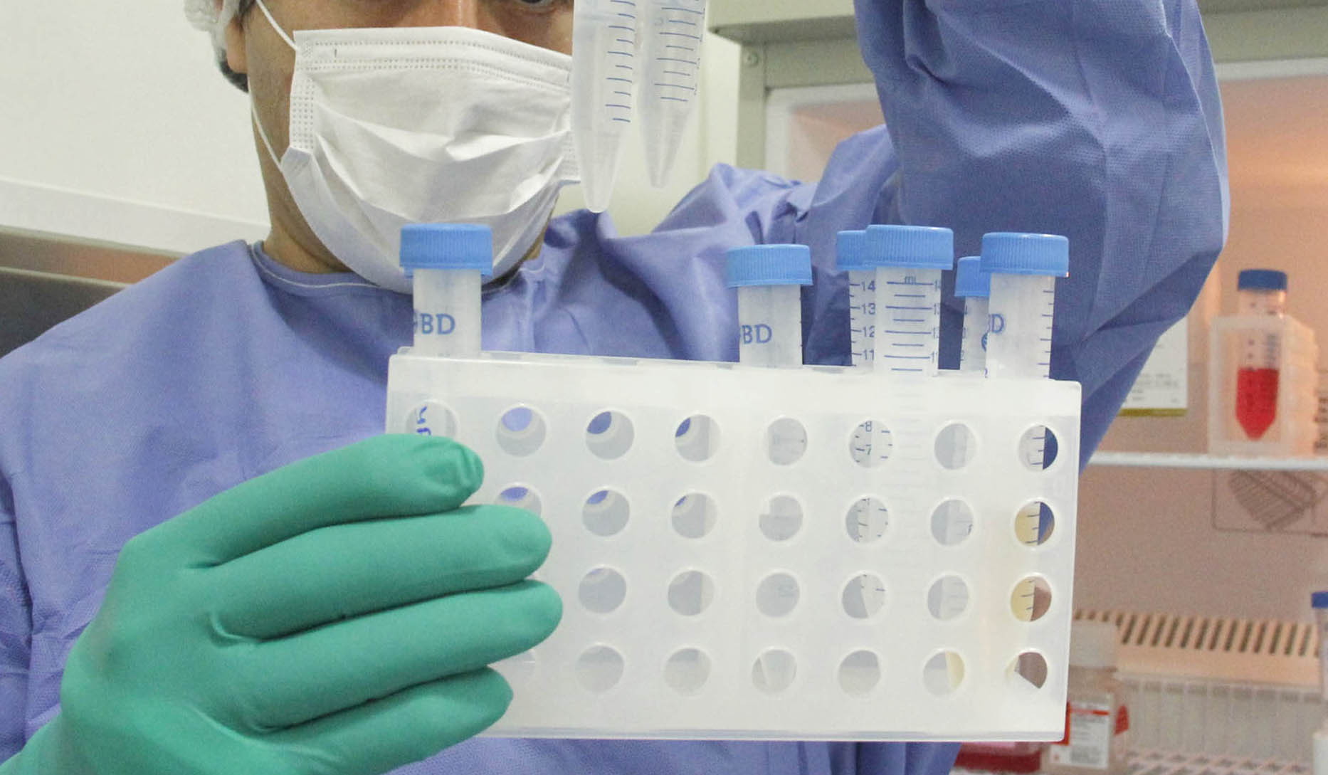 coronavirus covid19