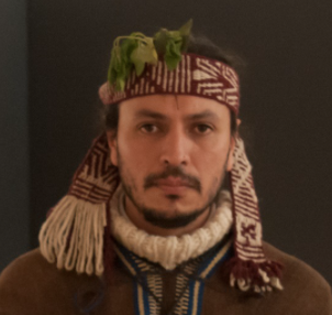 Imagen de Francisco Huichaqueo