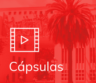 Capsula