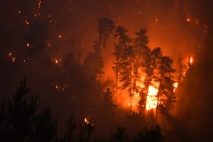 Incendios forestales