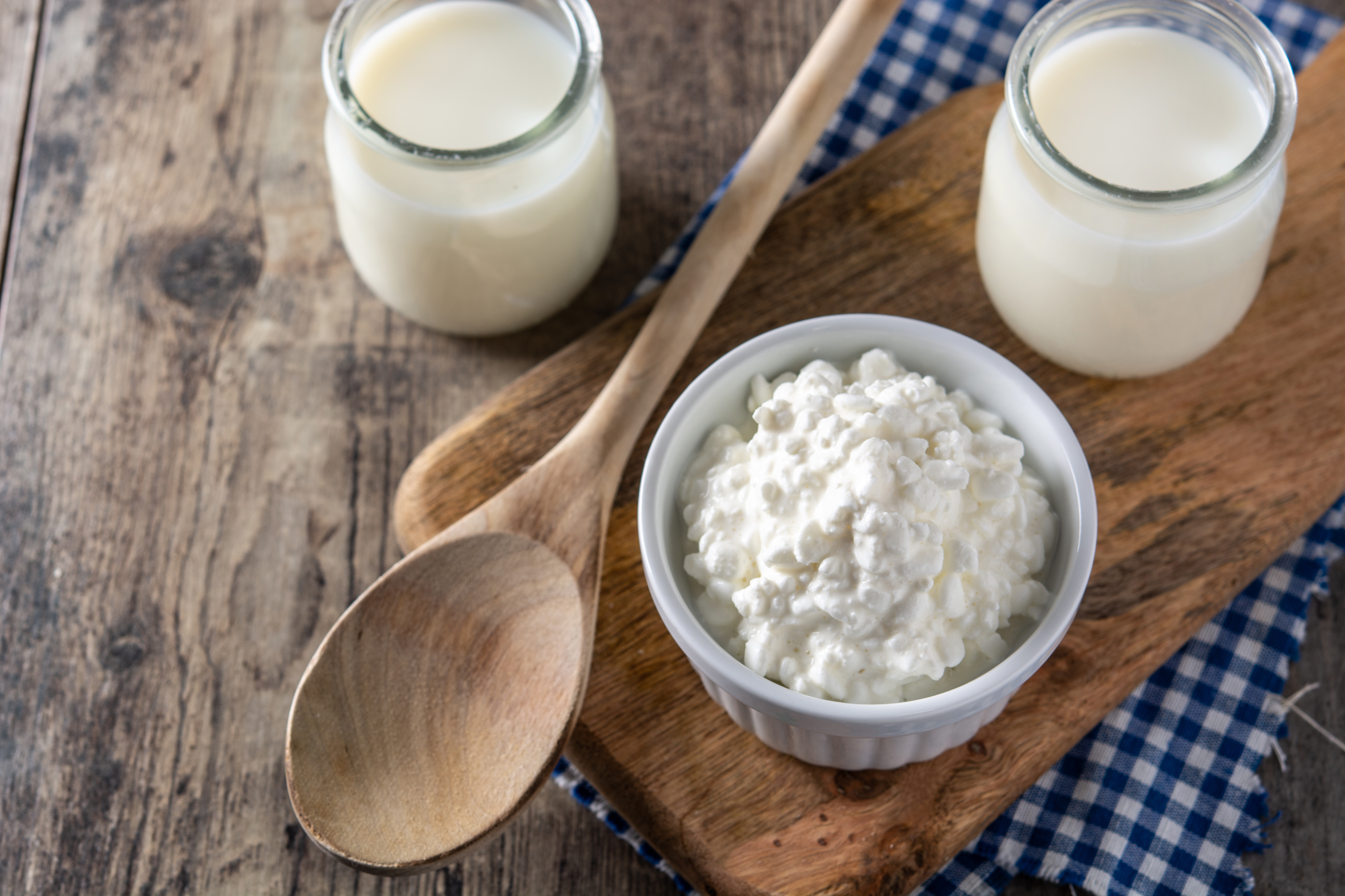 kefir de leche yogurt pajaritos