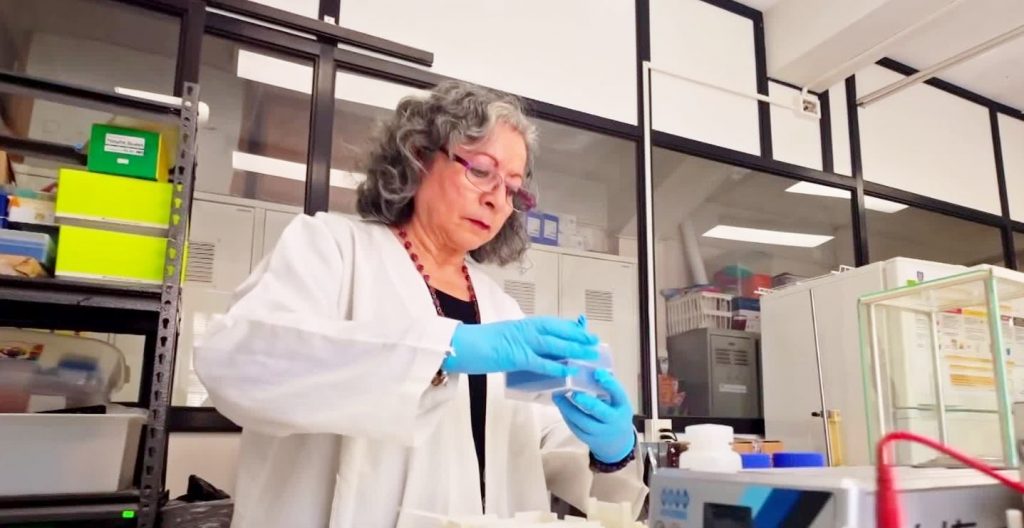 Científica chilena crea probiótico capaz de eliminar bacteria ligada al cáncer gástrico
