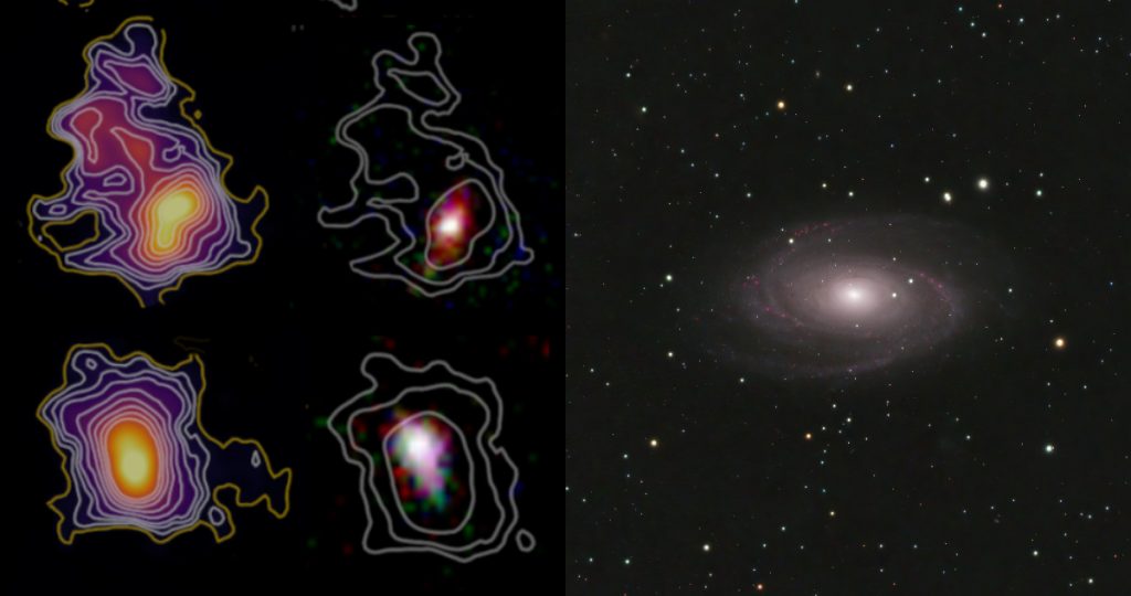 Astrónomos chilenos observaron las primeras galaxias del universo desde ALMA: «Estamos muy orgullosos»