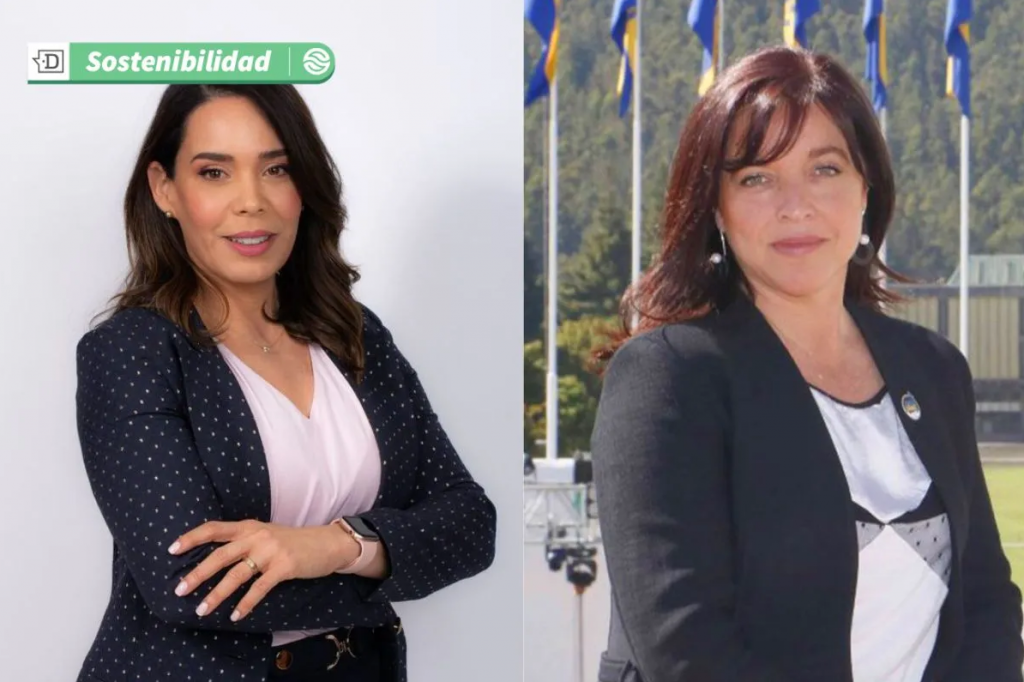 Orgullo nacional y energías limpias: Dos chilenas son incluidas entre las 50 líderes globales del hidrógeno verde 2025