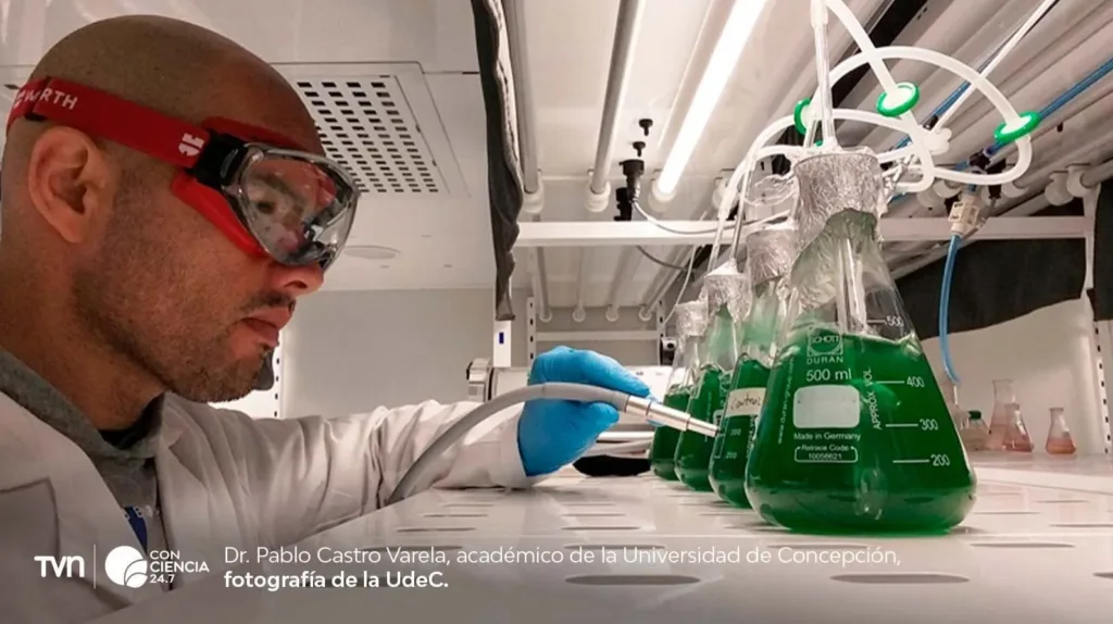 Microalgas y luz solar: impulsan solución para limpiar lagos