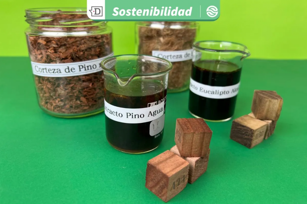 Mayor durabilidad de la madera: Investigadores desarrollan aditivo natural como alternativa ante productos químicos nocivos