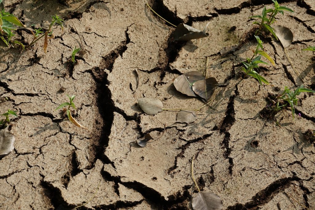 Erosión de suelos: el impacto invisible de la deforestación y la pérdida de cobertura vegetal