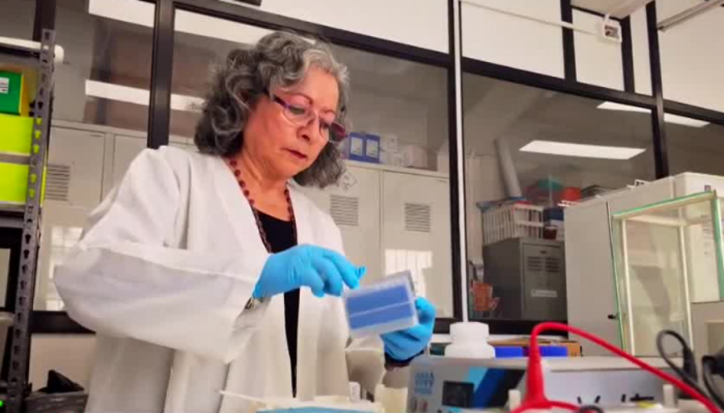 ¡Orgullo nacional! Pastilla de científica chilena previene el cáncer gástrico
