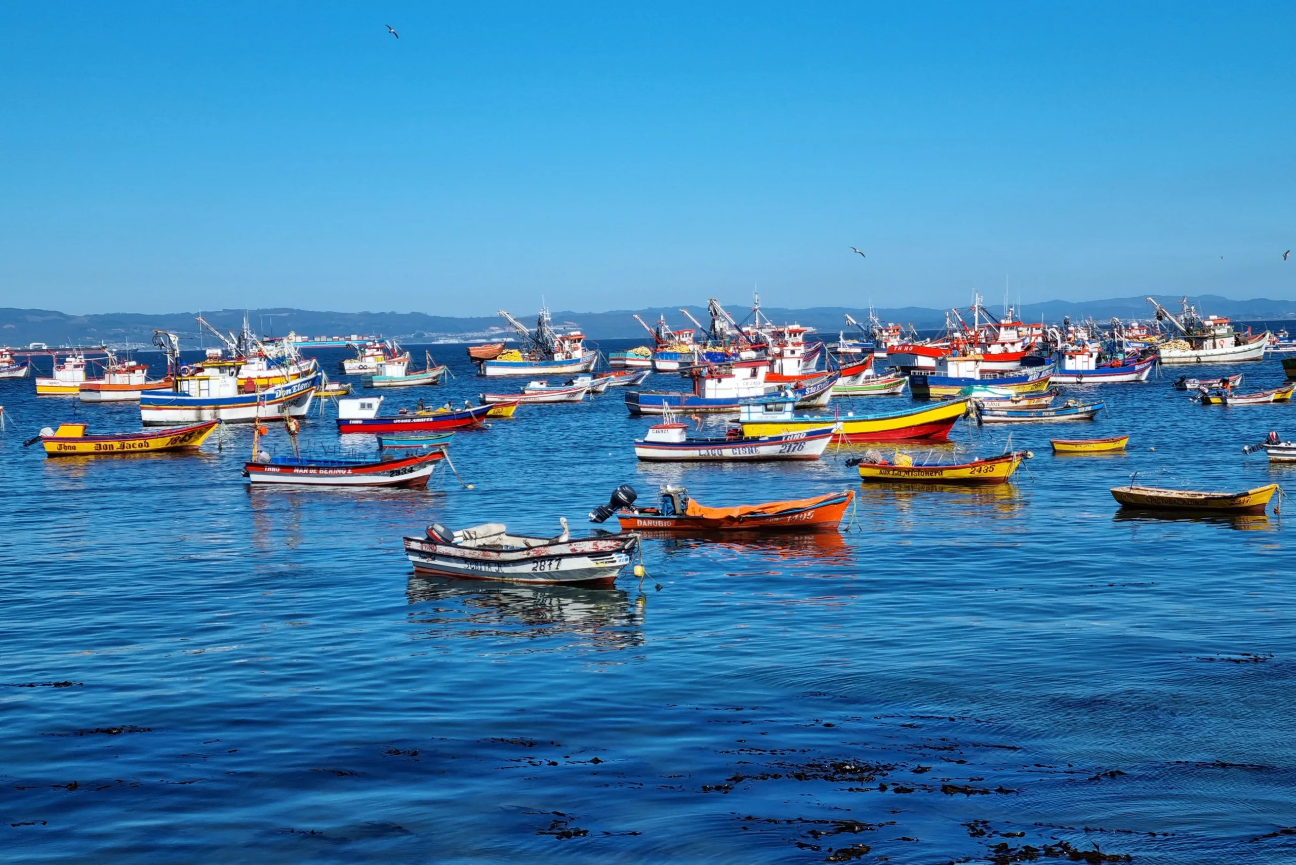 caleta mar