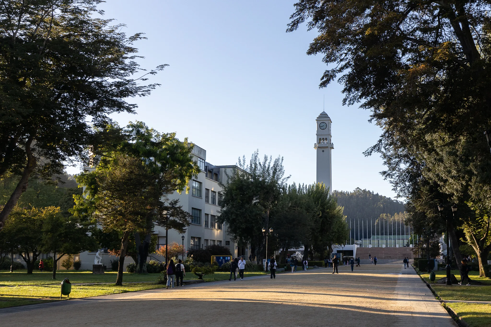 Consejo Académico UdeC define lineamientos 2026