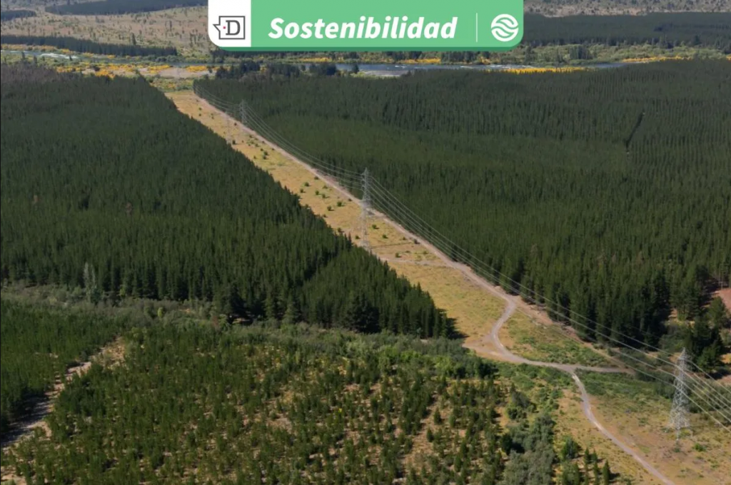 Crean mapas con tecnología satelital para prevenir incendios causados por tendido eléctrico en Ñuble y Biobío