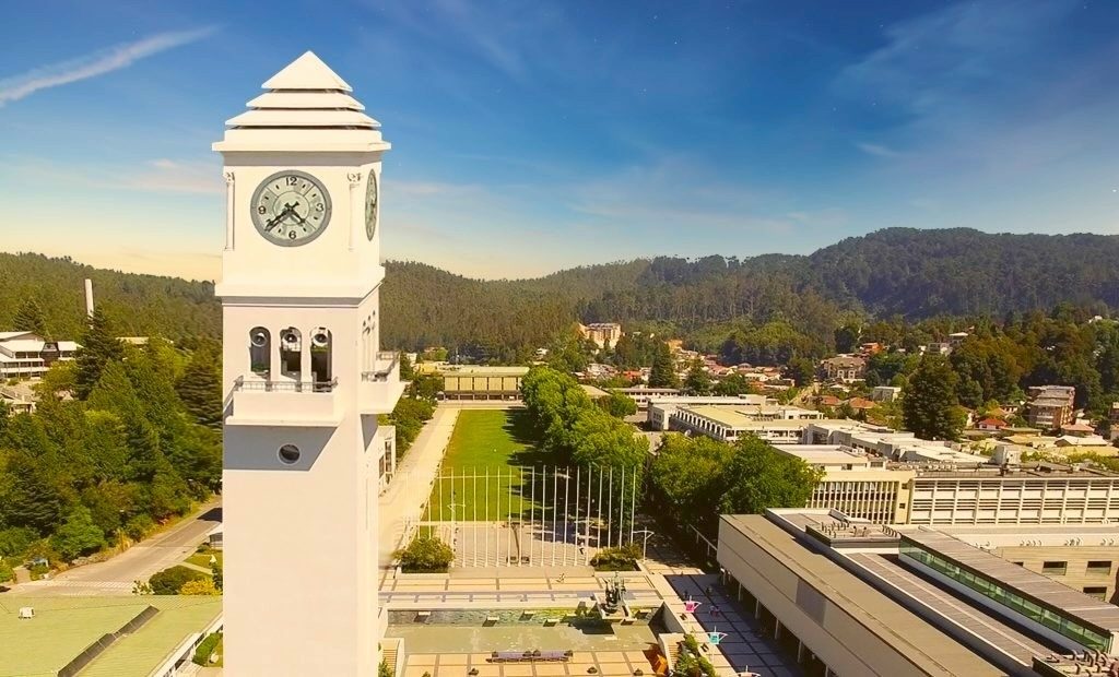 La huella de la pandemia en universitarios: individualismo, ansiedad e incertidumbre