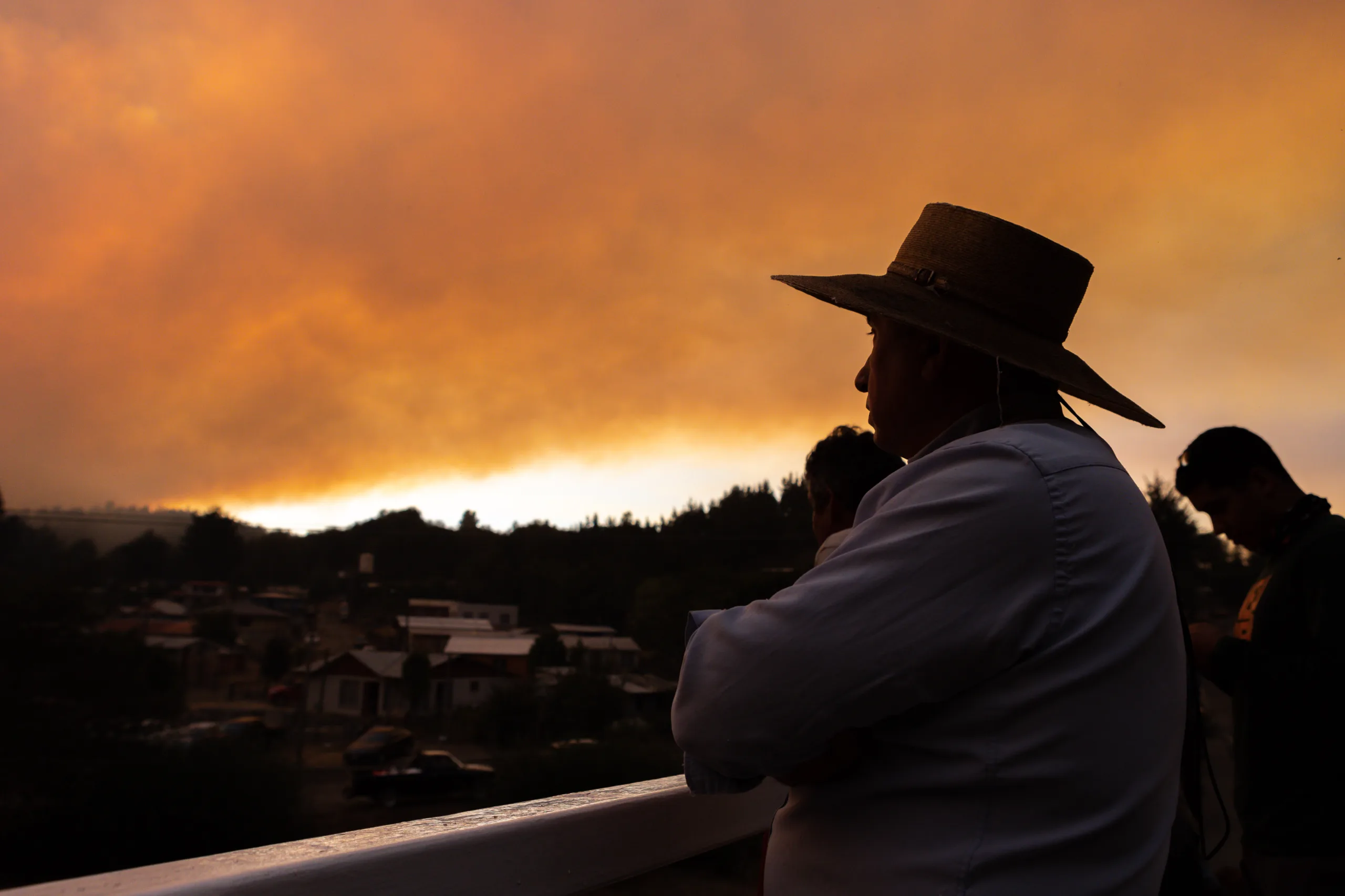Incendio forestal en sector Rafael de Tome