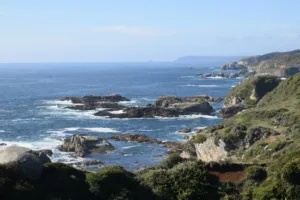 Comité internacional con presencia UdeC creará bases ambientales para tecnologías oceánicas de captura de CO₂