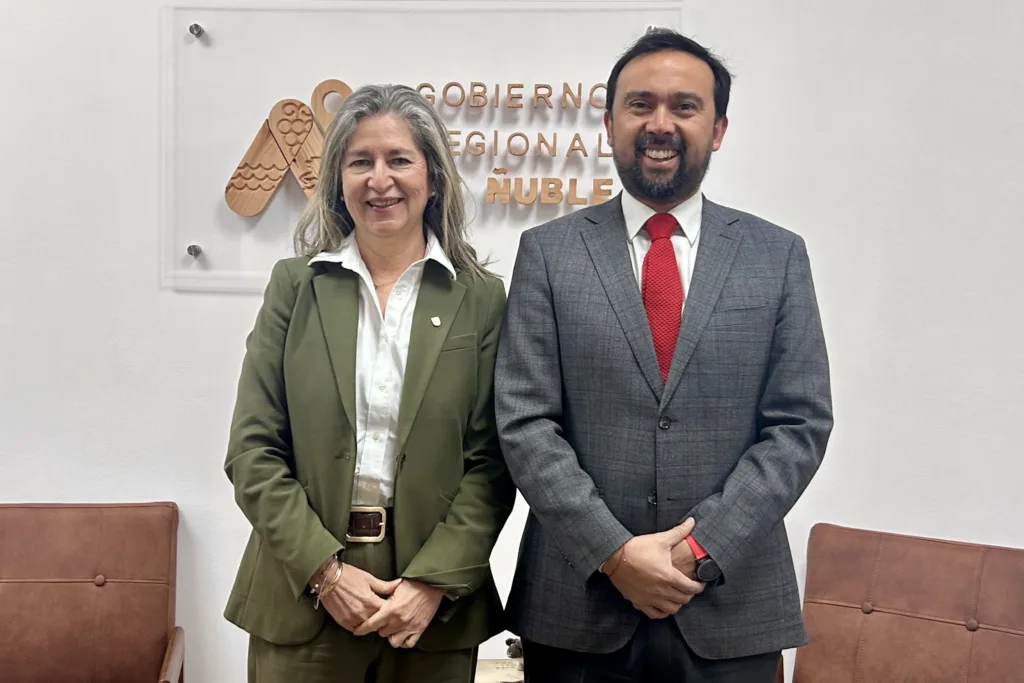 Primer encuentro oficial entre las nuevas autoridades de la UdeC y el Gore Ñuble abordó desafíos estratégicos del territorio