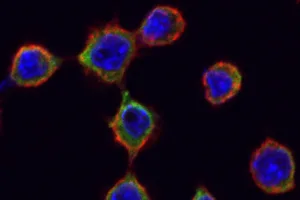 Especialistas internacionales compartirán los últimos avances en inmunología en IMMUNOAXIS 2026