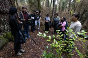 Del bienestar a la evidencia científica:  especialistas buscan ahondar en la relación entre bosques y salud