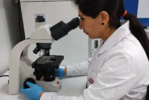 UdeC obtiene dos de las cuatro adjudicaciones de Explora IV tras más de 130 postulaciones