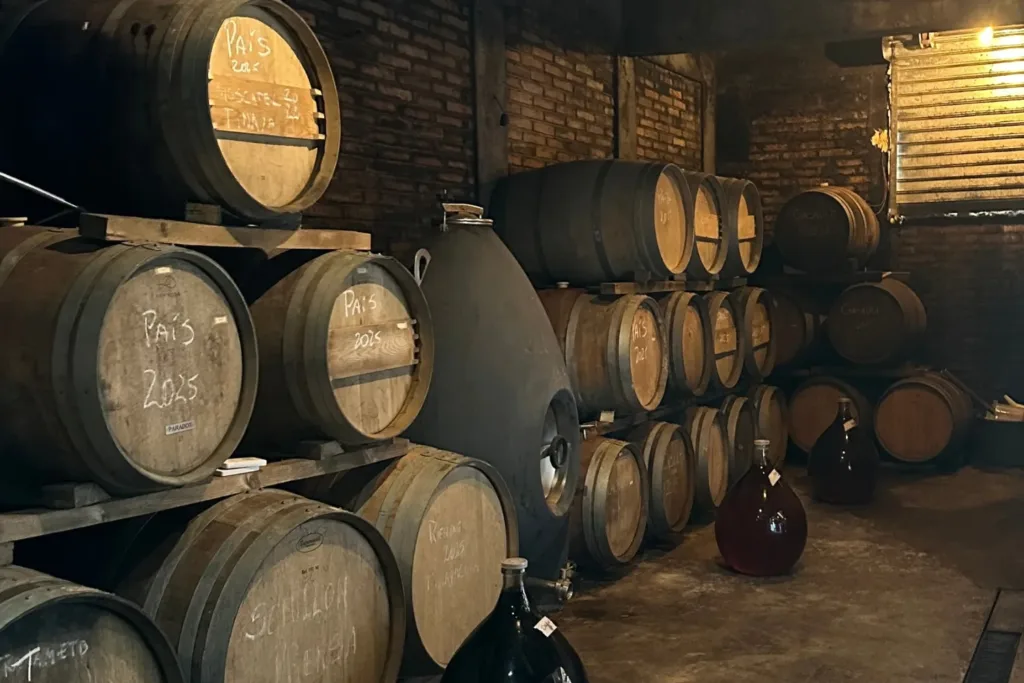 Café Científico invita a conocer la ciencia y la historia detrás del vino chileno