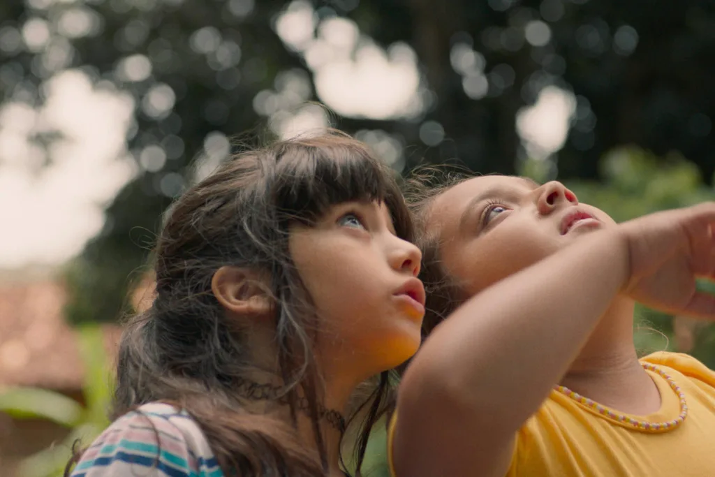 Ciclo D-Cine invita a descubrir ‘La naturaleza de las cosas invisibles’