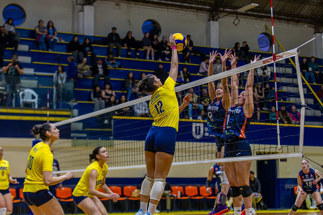 Voley femenino