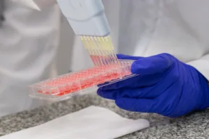 VRID abre tres nuevos concursos internos para fortalecer las capacidades de investigación en la UdeC