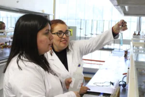 Jornada de capacitación acercó investigación y conocimiento científico a docentes de Talcahuano