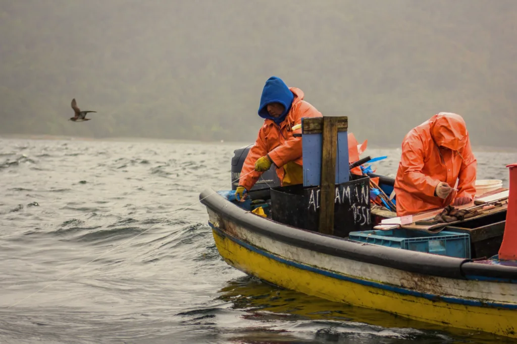 Estudio proyecta cambios en la distribución de peces de importancia para la pesca artesanal en la Patagonia