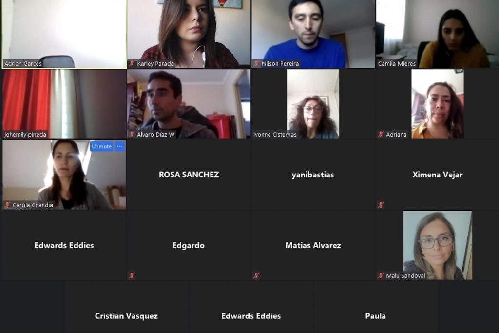 Cetma UdeC realiza taller de apoyo a pymes para crear su propio sitio web e incorporar el comercio electrónico