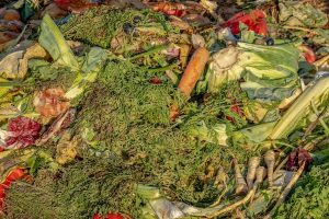 Pérdida y desperdicio de alimentos, un desafío humanitario y ambiental