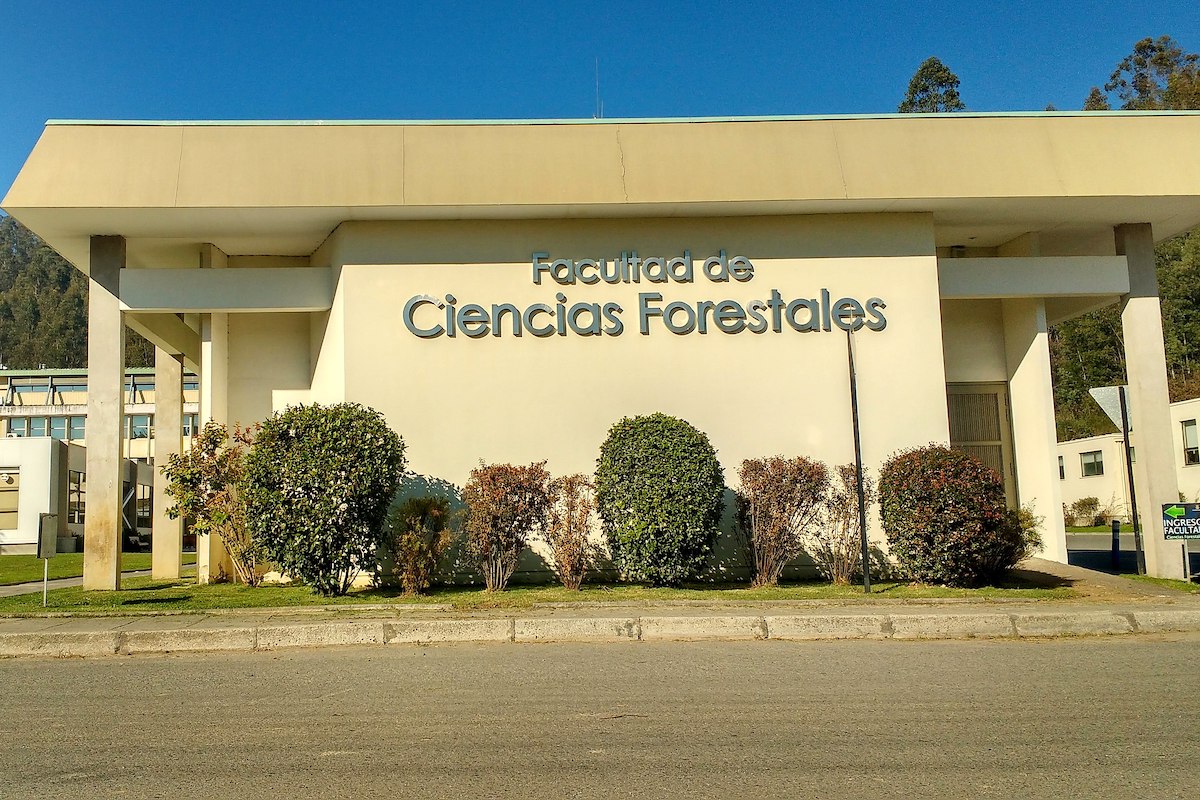 Imagen de Facultad de Ciencias Forestales