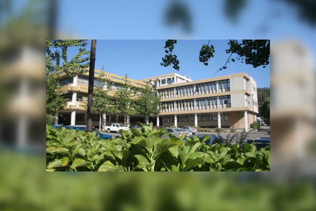 «Mejor Trabajo»: investigación UdeC-UBB recibe destacado premio en encuentro de Facultades de Negocios