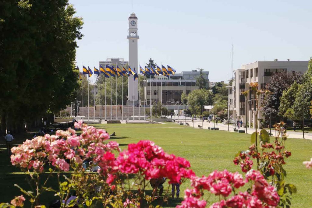 Desafíos ambientales e industriales: Cinco iniciativas UdeC se adjudicaron importantes fondos de Concurso Anillos