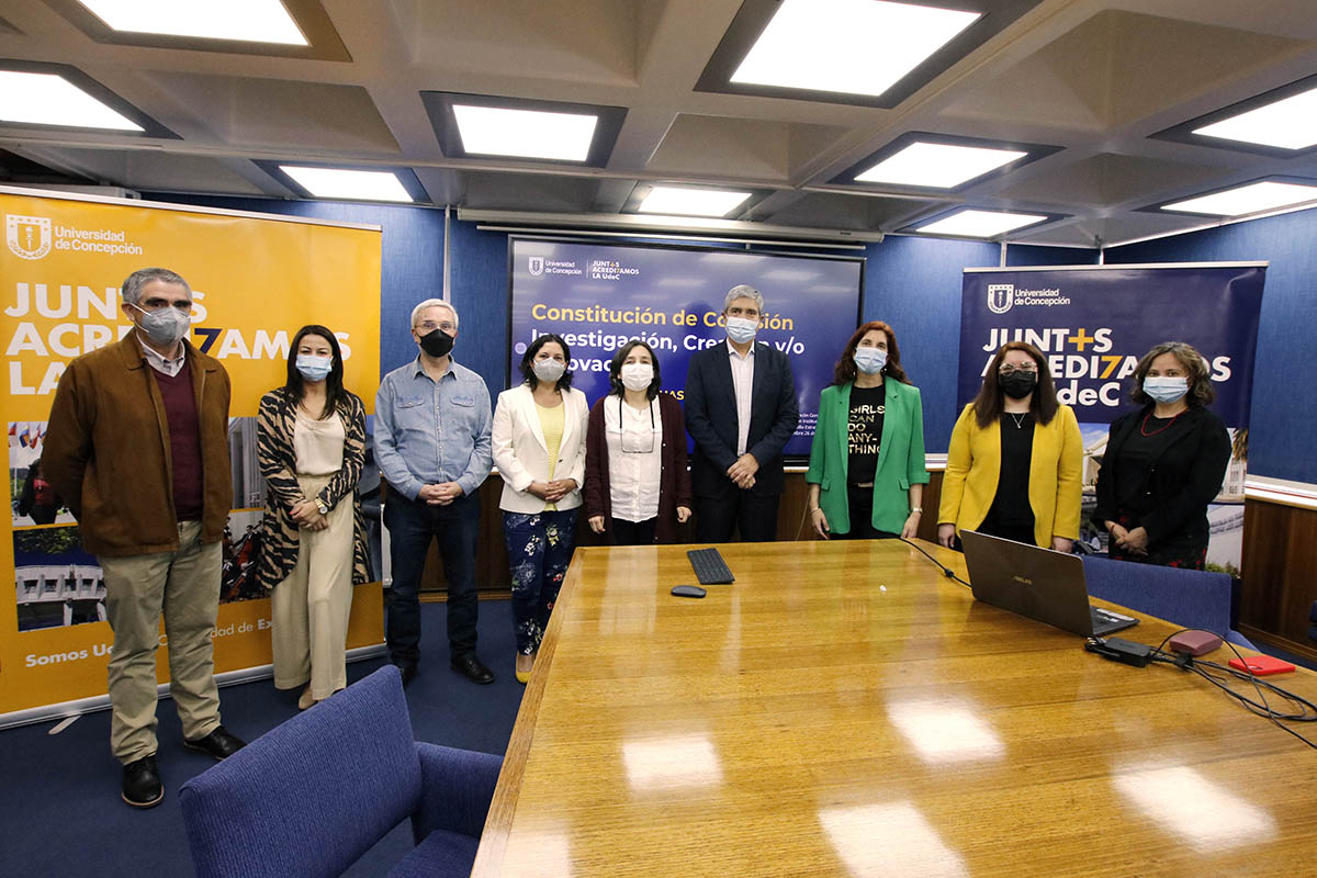 Comisión de Investigación, Creación e Innovación se constituye como