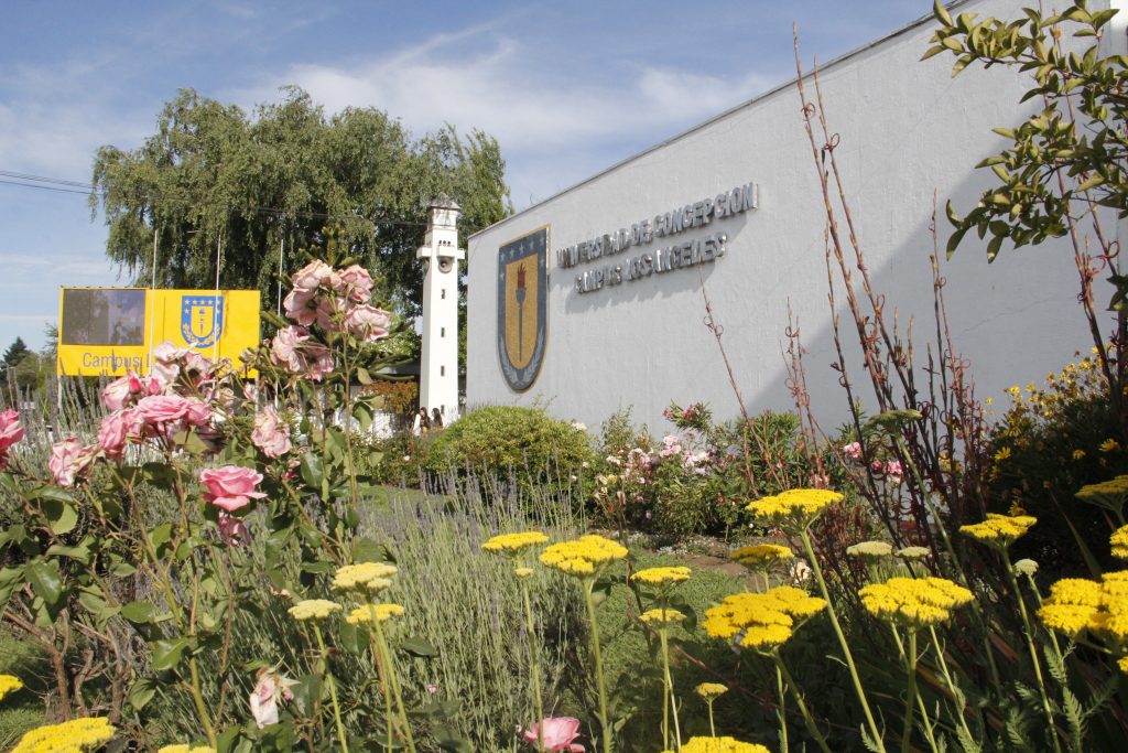 UdeC lidera lista de proyectos que fomentarán la innovación en el Biobío