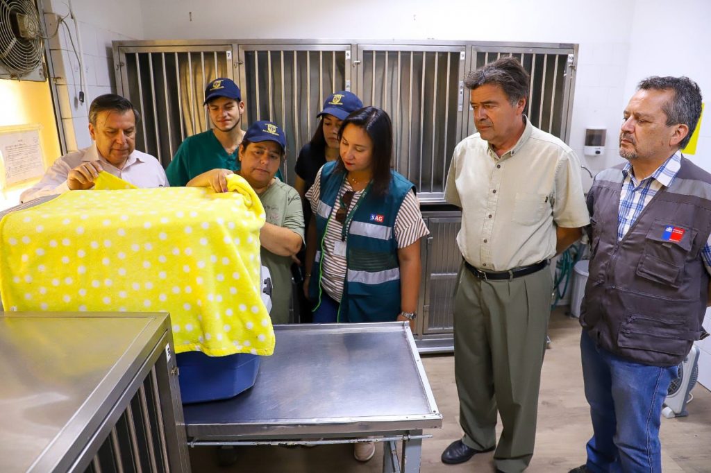 “El mundo está perdiendo biodiversidad”: Ministro de Agricultura valora trabajo del centro de Veterinaria UdeC