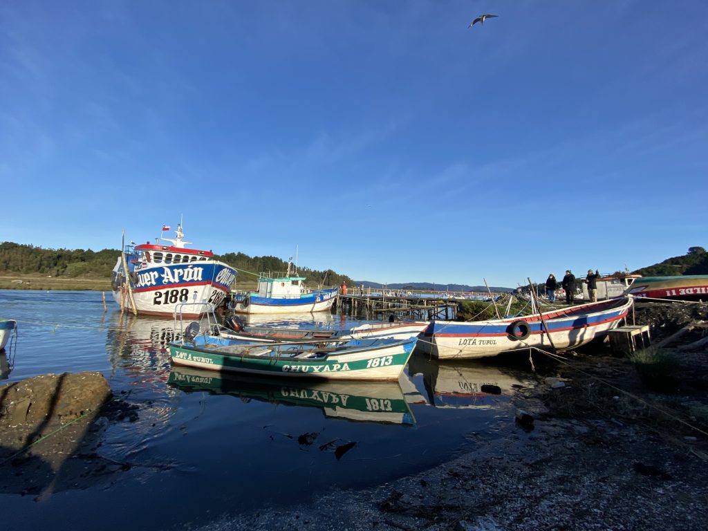 Investigadores abordan importancia del Golfo de Arauco para sustentabilidad del Biobío