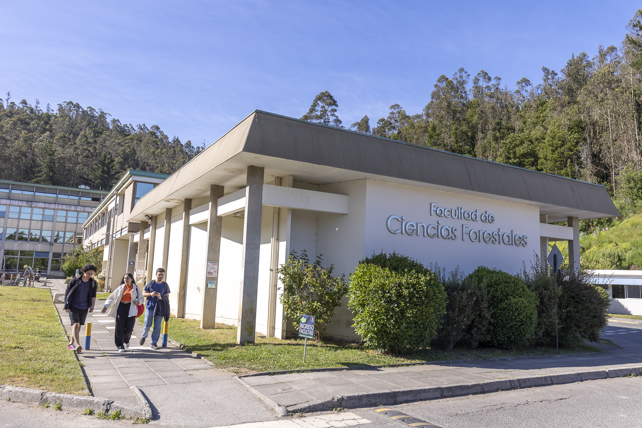 Imagen de Facultad de Ciencias Forestales
