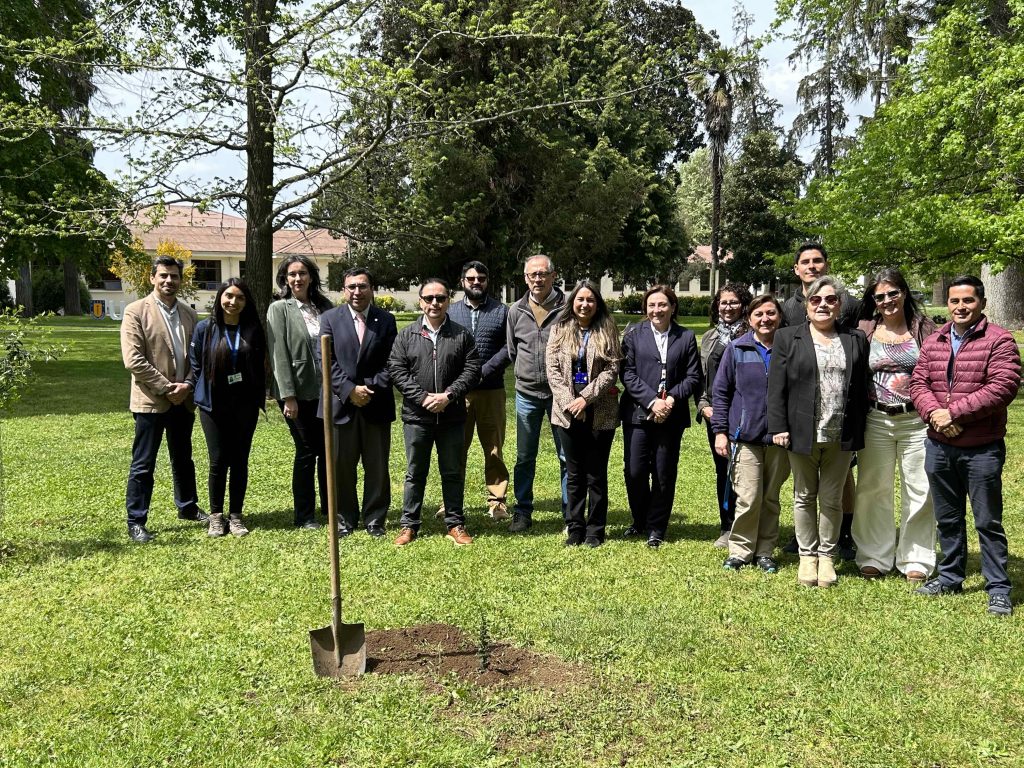 EAN UdeC suma árbol nativo al Campus Chillán en Semana de la Sustentabilidad