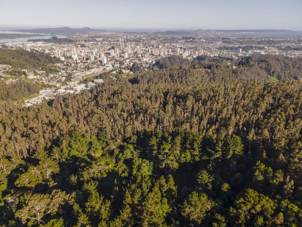 Inician faenas de preparación para conservación ex situ en Campus Naturaleza