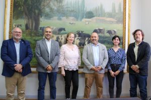 Autoridades del Campus Chillán realizan jornada de trabajo con Directores de Extensión y de Pinacoteca UdeC