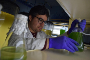 Investigadores UdeC avanzan en la producción sustentable de Carotenoides desde la Biotecnología
