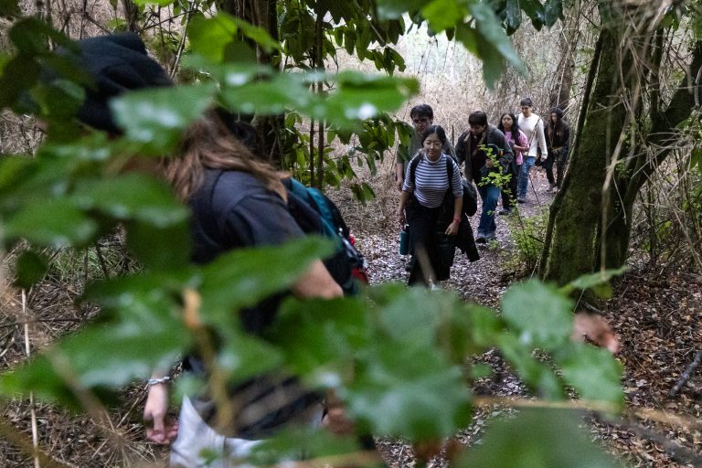 Estudiantes UdeC viven día de aventura y conocimiento en el bosque nativo del Campus Naturaleza