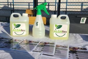Algafex: desinfectante natural creado en la UdeC se prepara para llegar al mercado