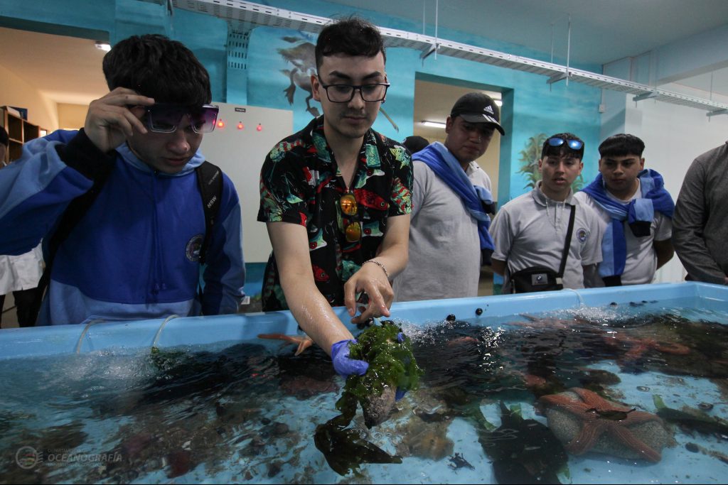 Departamento de Oceanografía invita a la comunidad a celebrar el Mes del Mar en la Estación de Biología Marina UdeC