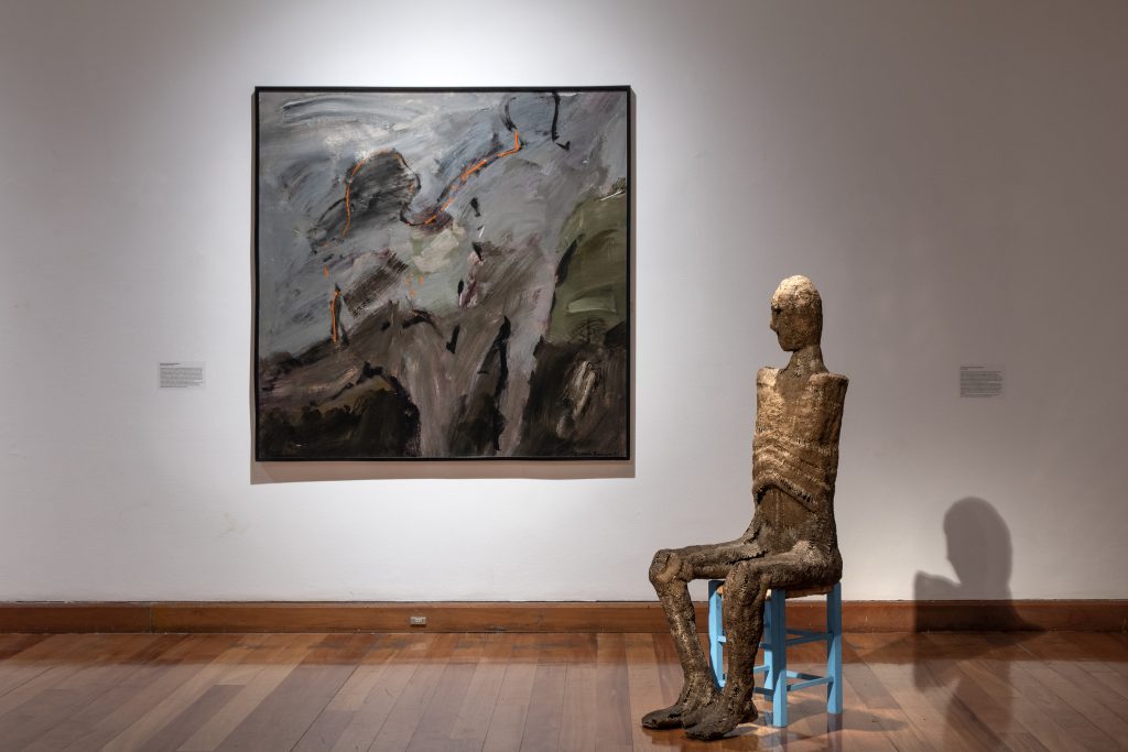 Casa del Arte UdeC recibe la exposición “(des)humanizar cuerpos” de la Colección MAVI UC