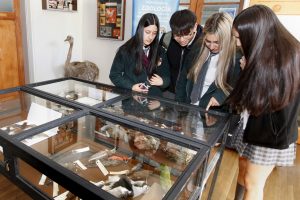Museo de Zoología renueva sala de exhibición con muestras sobre el Día de la Biodiversidad y el Mes del Mar