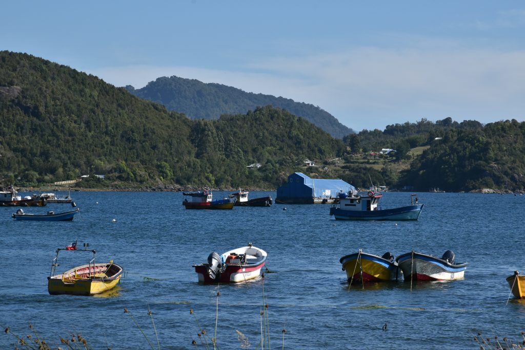 Lanzan primera evaluación de la Salud del Océano en Chile en 103 comunas costeras